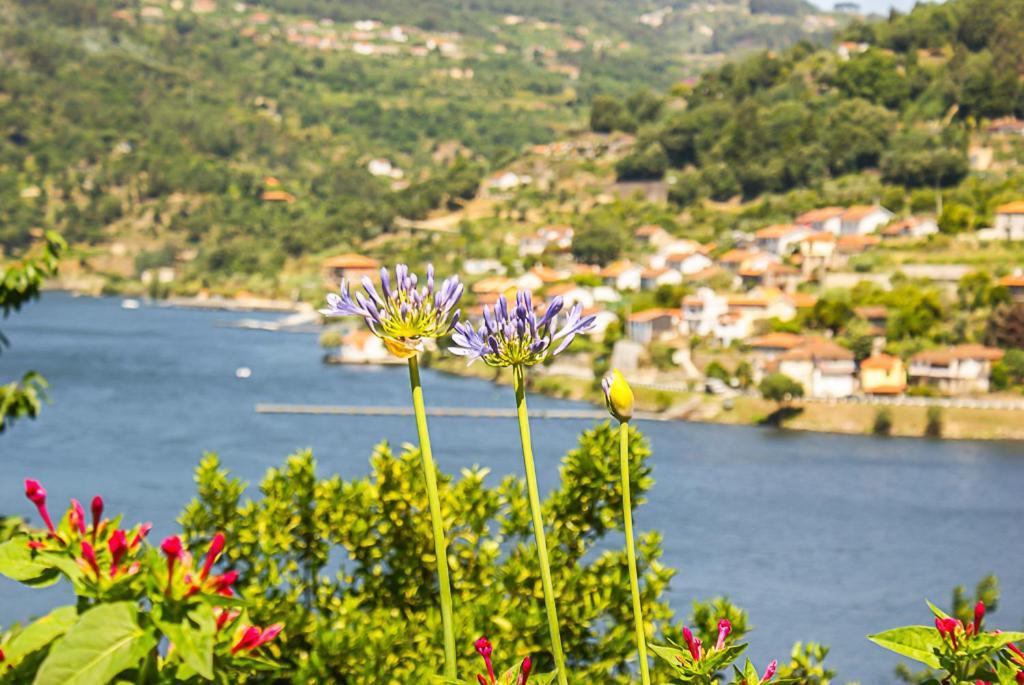 Casa Da Torre, Porto Manso Villa Ribadouro Ngoại thất bức ảnh