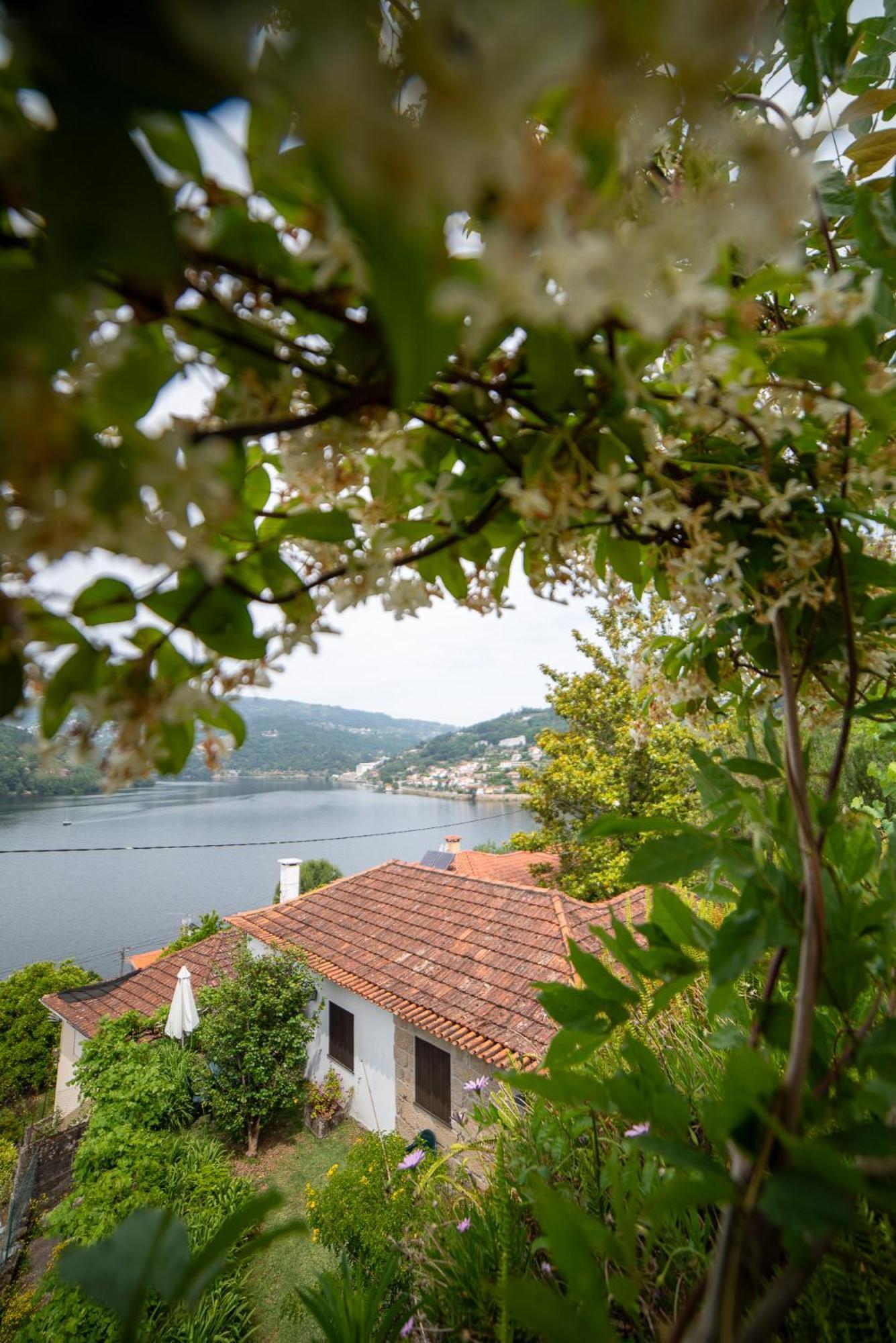 Casa Da Torre, Porto Manso Villa Ribadouro Ngoại thất bức ảnh